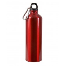 25 oz Aluminum Alpine Bottle MG970