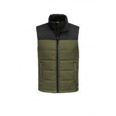 North Face Men's Everyday Insulated Vest NF0A529A